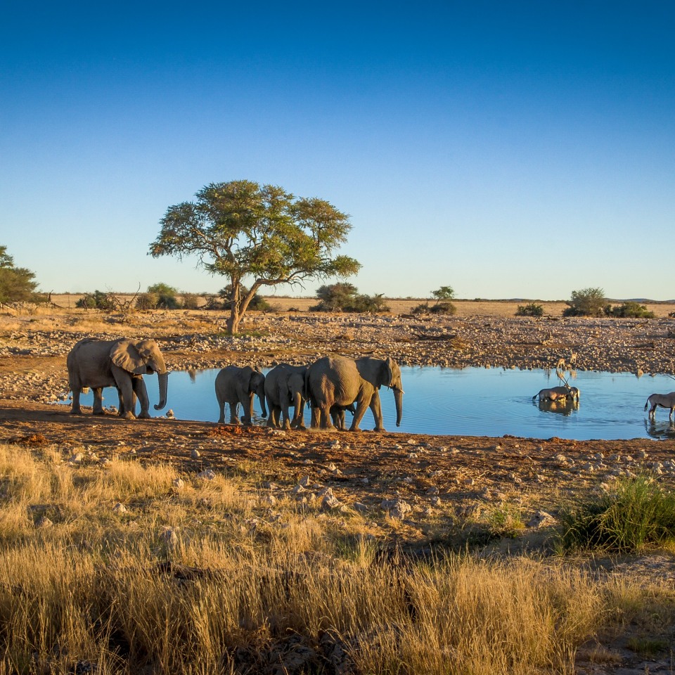 Roadtrip im Süd-Westen Namibias